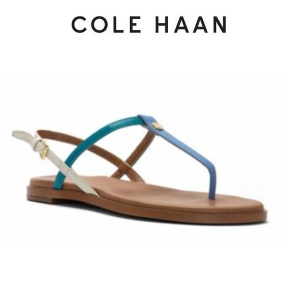 Cole Haan Shoes - 🆕️ Cole Haan Women FLORA W16547/PROVENCE/TILE BLUE SHOE  5
